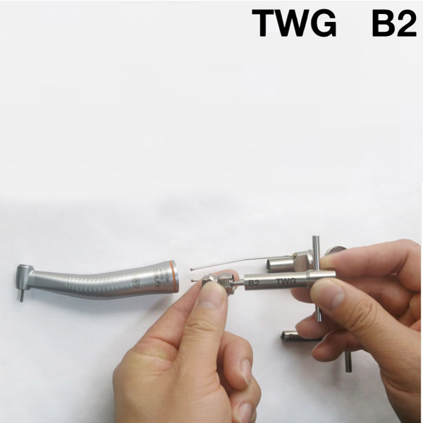 017003010  B2